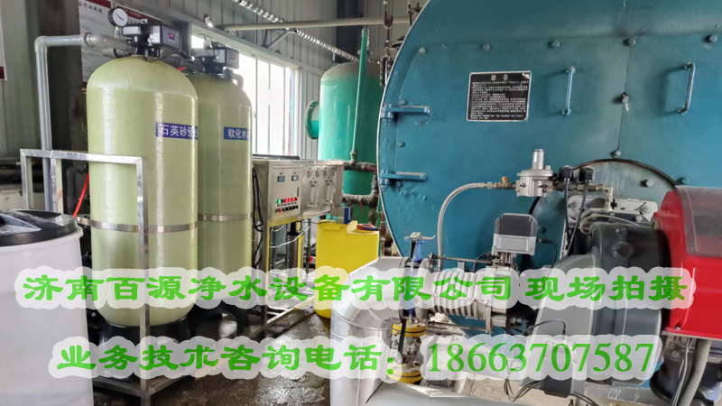 禹城饲料厂蒸汽锅炉用纯净水设备